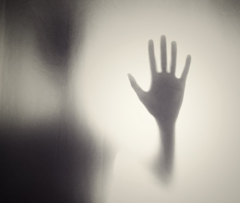 Stínová recese, žádná tržní skepse