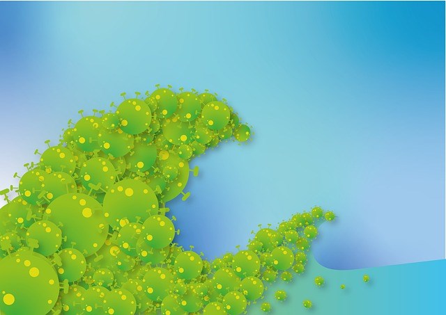 Rozbřesk: Akciové trhy se snaží oklepat z druhé vlny pandemie