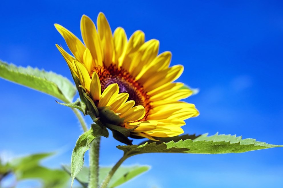 Lídři zemí EU budou jednat o ruském plynu, obraně i sankcích. Americká sněmovna reprezentantů podpořila zákaz dovozu paliv z Ruska