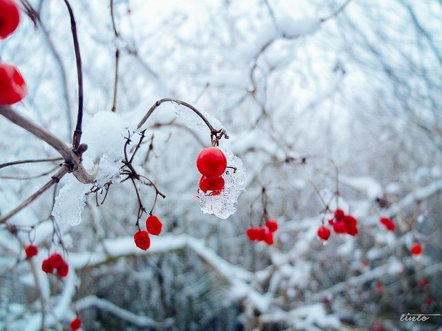 IPO Watch – aktivita IPO trhu pod bodem mrazu