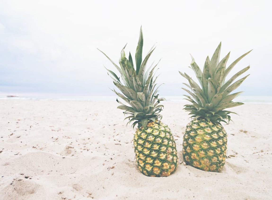 Co má hodně společného akciový trh a udržitelnost vládních dluhů?