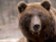Perly týdne: Medvědi zpět do díry, rostoucí pravděpodobnost recese a hrozba jménem Huawei