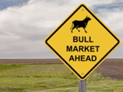 Akciový býk může žít ještě dlouho, ale tráva mu podle historie poroste hlavně mimo USA