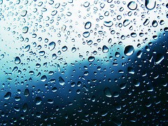 Němá oběť nervozity na trzích - trh IPO