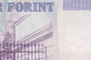 Forint ustál neočekávané snížení sazeb... a další devizové zprávy