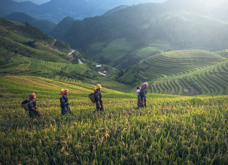 Za čínským vrcholem?