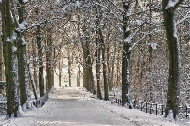 Rozbřesk – Co znamená konec “Ladovské zimy” pro ekonomiku?