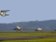 Aerolinky SAS dostanou pomoc, portugalské TAP o ní jednají