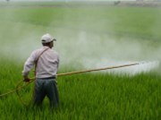 Americký nejvyšší soud zamítl odvolání firmy Bayer v kauze herbicidu Roundup