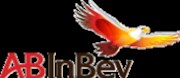 AB INBEV: 1Q11 likely to show strong pricing power again