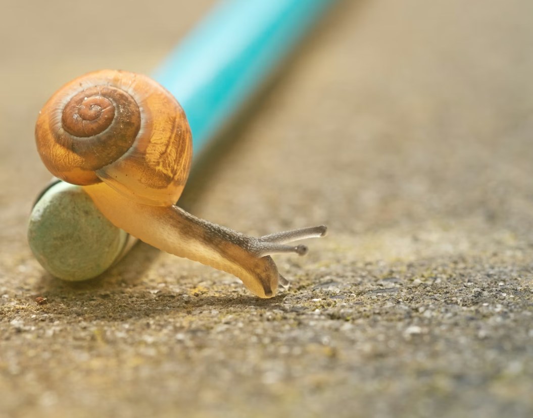 Začátek týdne je pomalý a změnu směru trhům nepřináší