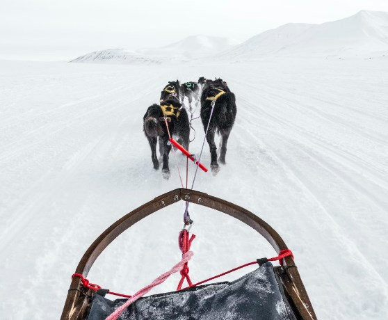 Trhy v prosinci: Utrhly se ze řetězu?