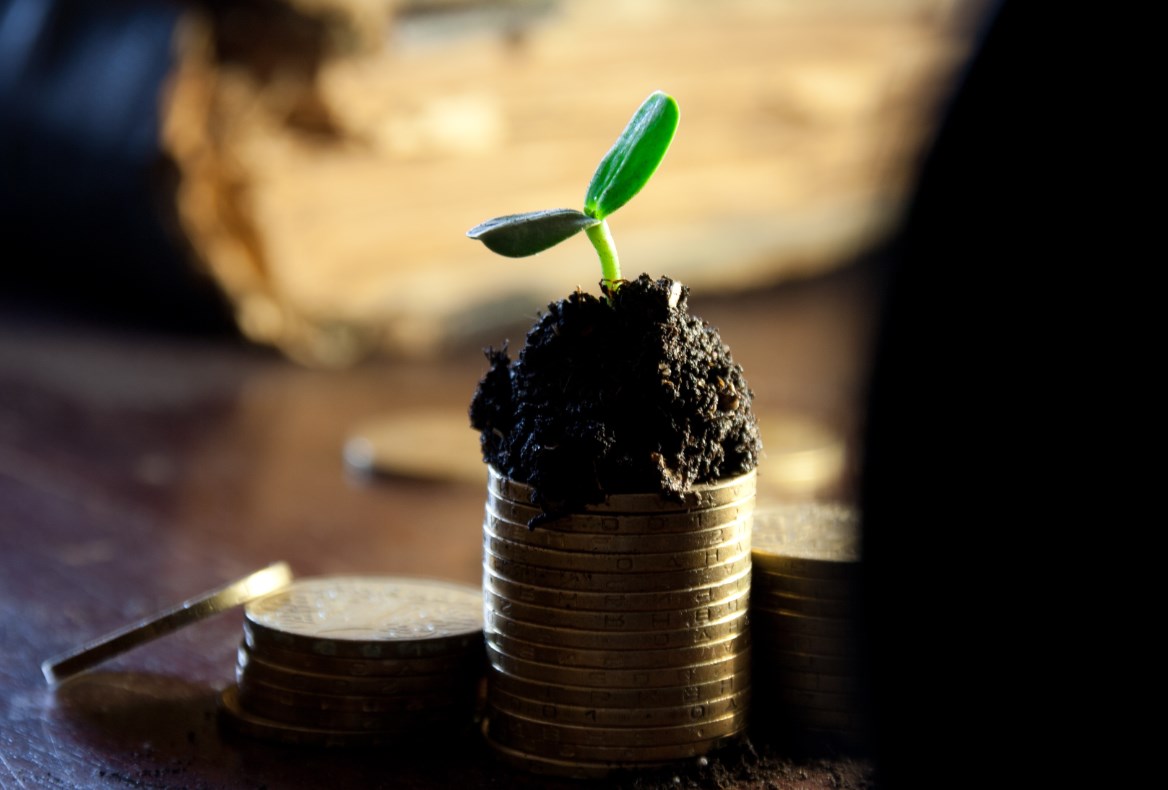 Akcie i dluhopisy rostou, začalo se sázet na mírnější Fed