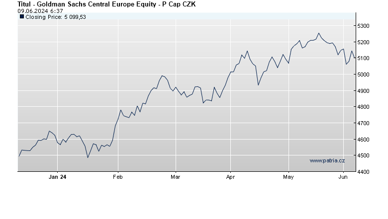 Goldman Sachs Central Europe Equity - P Cap CZK