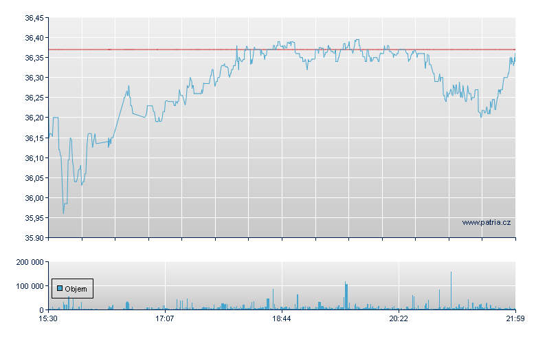 Dmnsnl Inrntnl - NY Consolidated