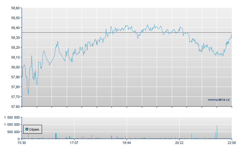 Inve S&P Intl Dv Mm - NY Consolidated
