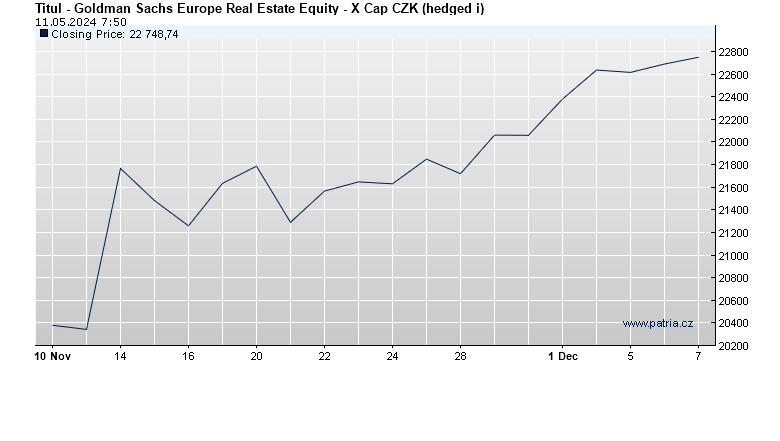 Goldman Sachs Europe Real Estate Equity - X Cap CZK (hedged i)