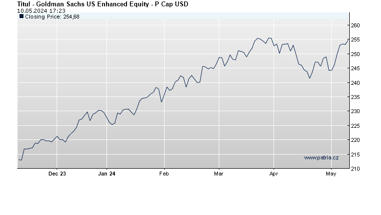 Goldman Sachs US Enhanced Equity - P Cap USD
